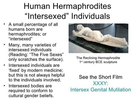 hermaphrodite porm|hermaphrodite Search